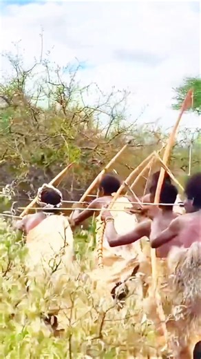 They Risk Everything… When a Cheetah Targets a Zebra Cub | Bush Awareness! | जंगल का खामोश पल