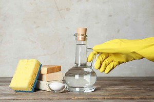 6 Common Household Prodcuts to Kill and Remove Mold