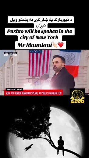 Pashto Language in New York City: A Cultural Insight