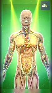 What Mac & Cheese Does Inside Your Body