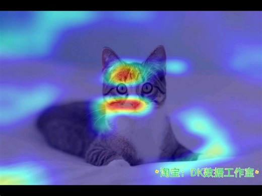 类激活图CAM grad-cam可视化VGG网络关注区域 从1迭代至1w次 Python+TensorFlow2.x实现。果然猫脸才是正确判断为猫的依据~