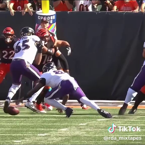 Lamar Jackson Highlights: Baltimore Ravens Star Quarterback