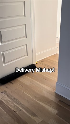 Delivery Mishap with My Cat: Cute Moments Captured