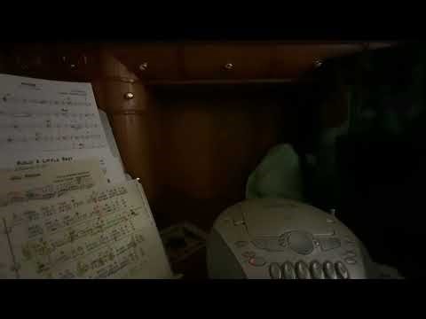 Minor Swing #fiddlemusicmakestheworldgoround#TXfiddle#MOfiddle#OTfiddle