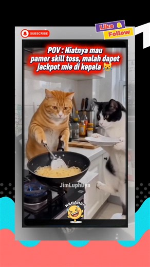 Definisi Sok Jago berakhir bencana 😂