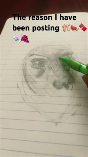 The reason I haven’t been posting