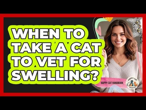 When To Take A Cat To Vet For Swelling?