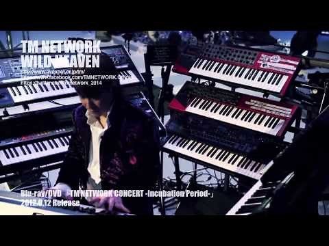 TM NETWORK / WILD HEAVEN（TM NETWORK CONCERT -Incubation Period-）