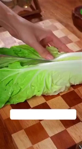 Delicious Cabbage Stewed Tofu Recipe to Try