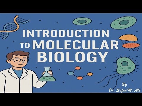 Introduction to Molecular Biology