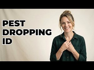 How Do I Identify Garden Pests By Droppings?