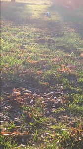 Sunlight is perfect to see all the cobwebs