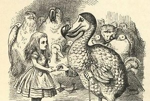 The Many Images of Alice in Wonderland »  Special & Area Studies Collections » UF Libraries » University of Florida