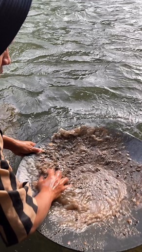 250K views · 1.1K reactions | gold prospecting for beginner | Linda Gold Mining | Facebook