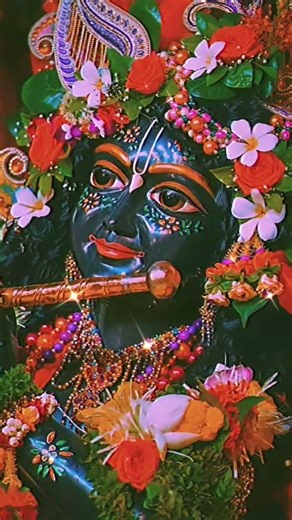 Tere bhajanon mai mai rag java😍 #krishna #bhakti #bhajan #shyambaba #shyam #love #mohan #madhav