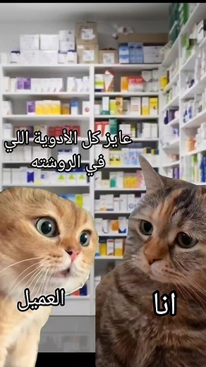 8.6K reactions · 647 shares | اعملي خصم #aladdin_ibrahim #مواقف #يوميات_صيدلي #الصيدلية #الصيادلة #قطط | Aladdin Ibrahim | Facebook