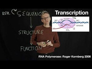 Lecture 01, concept 14: Transcription