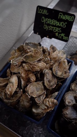 Shuck it your way! 🦪🤎 We’ll shuck your oysters & clams for you just call ahead at 📞 631-734-7770 to place your order. #BraunSeafood #BraunsKitchen #Cutchogue #Seafood #FishMarket #EastEndLI #NorthForkLI #LongIsland | Braun Seafood Company