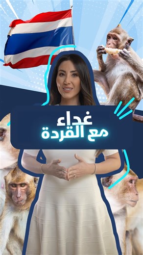 1.4K reactions · 36 shares | تجربة تناول الغداء مع القردة! كل ما عليكم فعله هو السفر إلى تايلاند لحضور مهرجان سنوي يتناول فيه السائحون الغداء مع القردة ويلهون معهم. #الخبر_الآخر #InOtherNews #متّع_فضولك_الآن | Discovery الشرق | Facebook