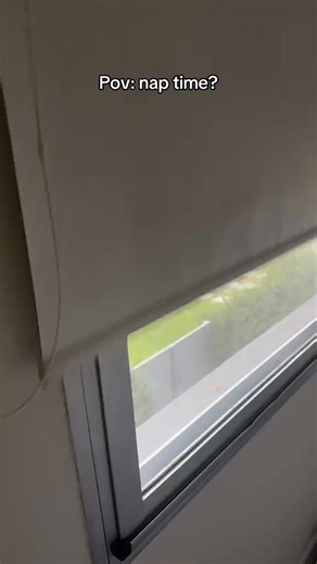 Fav plan always w bae @Bryce Hall ＜3 | Tech Talk