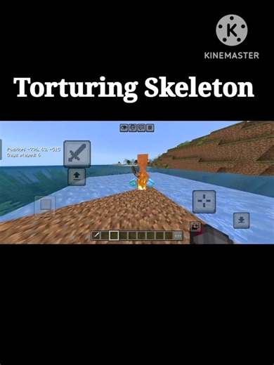 Torturing Skeleton In Minecraft