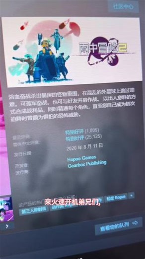 雨中冒险2#雨中冒险2 #steam游戏 #电脑游戏 #steam热门游戏推荐