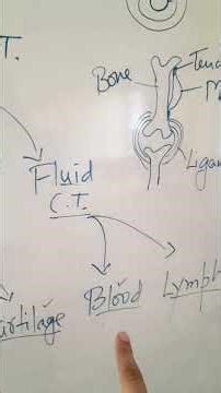 Connective Tissue👍#study #biology #neetaspirents #neet #education #motivation
