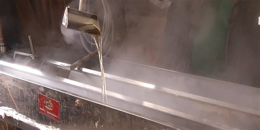 Sweet Signs of Spring: Maple Syrup Day Draws Crowd in Midland