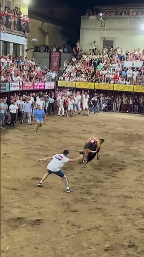 ¡SALIDA BRUTAL! 🐂 Massive Charge & Risky Jump! 😱 #Toros #Recortes #Bullfighting