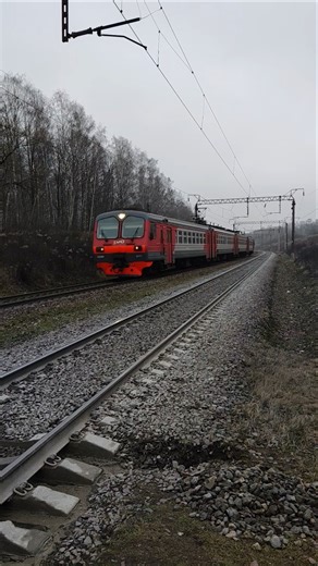 ЭД9М - 0117 прибывает на о.п. 204км.#мжд #эд9м #железнаядорога #railway #yt #train #поезд