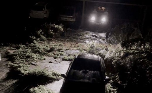 Trees Downed After Deadly 'Bomb Cyclone' Wreaks Havoc in Washington State