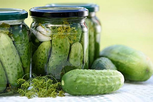 Is a Pickle a Fruit or Vegetable?