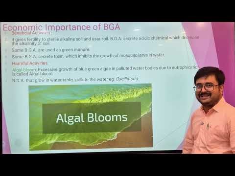 Biology Semester I Classification of Monera Part 2 by WBCHSE And S&D