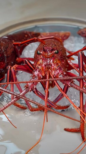 38K views · 870 reactions | 咽 AUSTRALIAN RED LOBSTER!! ↳ Will this become Sonny’s favorite Find out in the full episode… Eating Every Lobster in Asia!! ↳ ▶️ Full Video Title | Bestfoodreview3 | Facebook