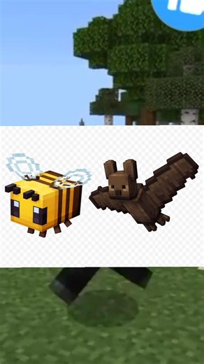 Minecraft 🐝 Bee vs 🦇 Bat – Kaun Zyada Bada Hai? 🤯 #shorts #slaregaming