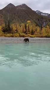 11K views · 259 reactions | Both the landscape and wildlife make for lasting memories on our Lake Clark bear viewing tour. Alaska is mind blowing and we are so lucky that we get to share it with you. | Rust's Flying Service | Facebook