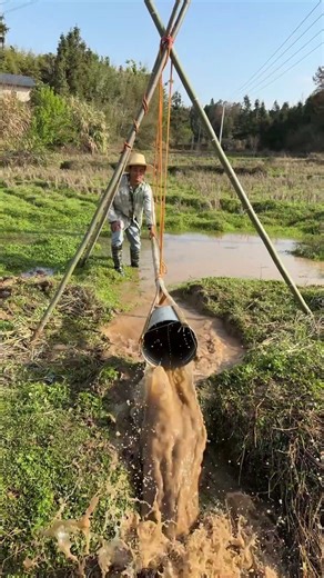 ‌"Budget Irrigation Hack | Plastic Bottle + Bamboo = Rock-Solid Support!"