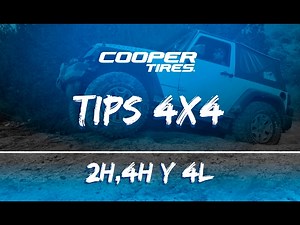 Función de la 2h, 4h, 4L