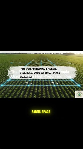 Stop Overcrowding! Yield Spacing Balance Fix 🌱
