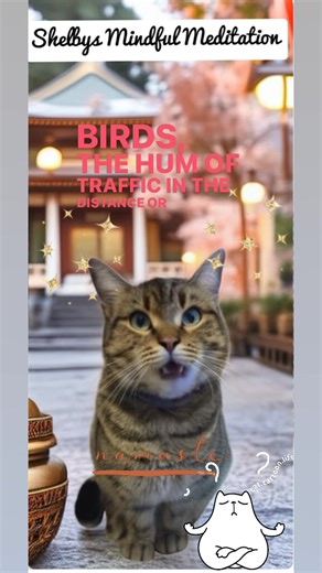 1.5K views · 133 reactions | 律‍♀️Furriends! Join me for daily moments...