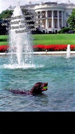 the executive good boy #history #historyfacts #historytime #historypicture #historyphotos #clinton #billclinton #ushistory