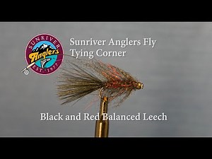 Black and Red Balanced Leech