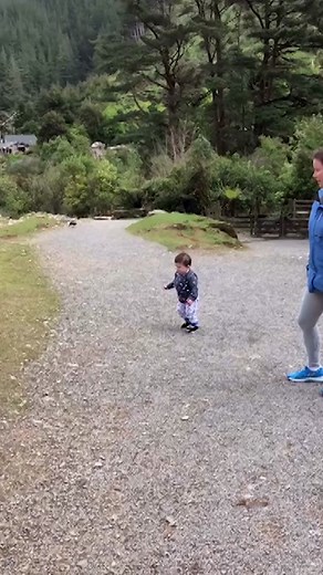 Chickens are dodgy animals. I wouldn't want to cross paths with a chook. #chicken #lucky #ozzymanreviews #fypシ #foryou #foryoupage