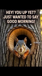 Good morning my fellow nut jobs. | Giggle Palooza