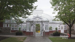 Closed to the public for seven years, the Westmount Conservatory is now open again offering a year-round oasis of greenery