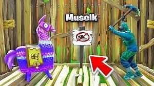 147K views · 172 reactions | MEMEING in a TOURNAMENT!  Muselk | Fortnite Hub | Facebook