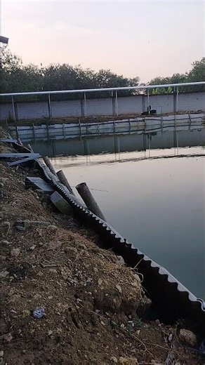 mancing di kolam