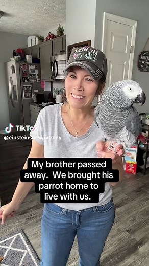 Einstein the 33-Year-Old Parrot Loves Music and Dance