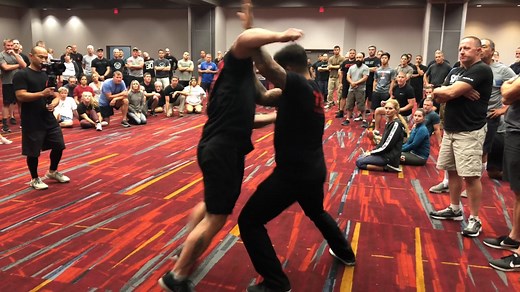 SPEAR SYSTEM®: The Science of Self-Defence