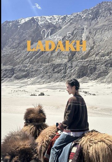 Ladakh ngày 5: cưỡi lạc đà và tu viện cổ